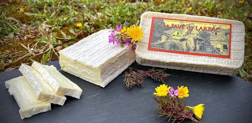 Pavé du Larzac, fromage de brebis, pâte lactique, producteurs locaux