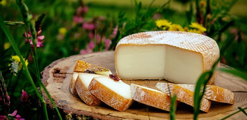 Lou bren, fromage de brebis, Aveyron, Bergers du Larzac