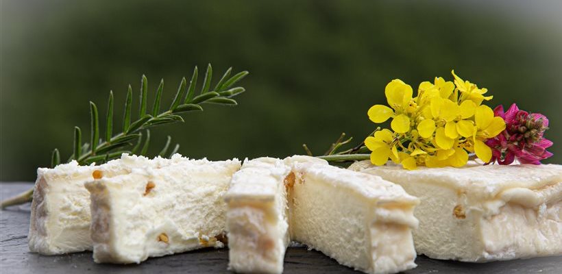 Pavé du Larzac au fénugrec, Coopérative des bergers du Larzac, lait de brebis 