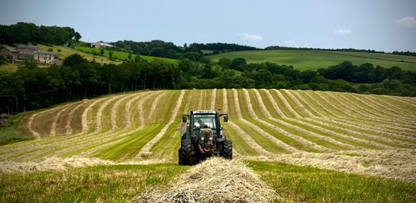 Coopérative des Bergers du Larzac, producteur lait de brebis