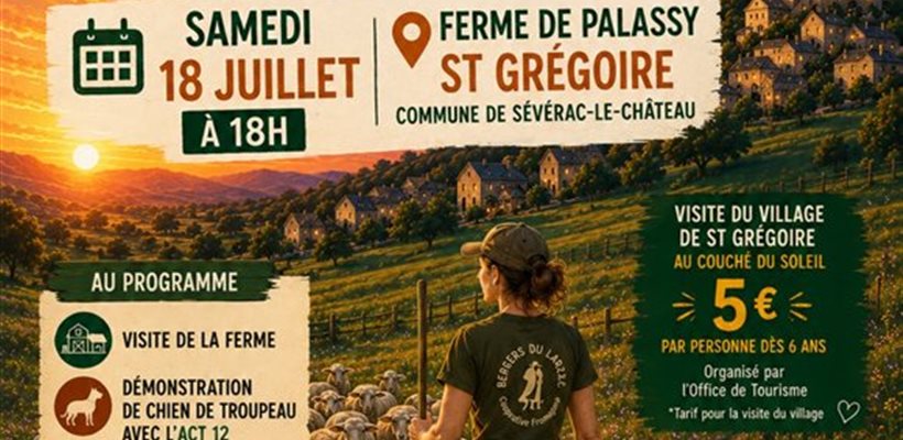 Visite de ferme, dégustation de fromage, bergers du Larzac, aveyron