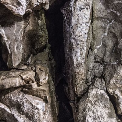 Cave La Bastide