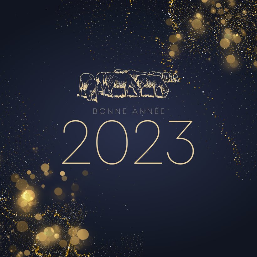 Bonne année 2023