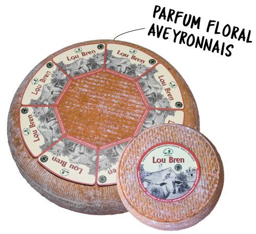 Nos croûtes lavées, fromage tomme de brebis, la Nauc des Bergers du Larzac, Fabriqué en Aveyron